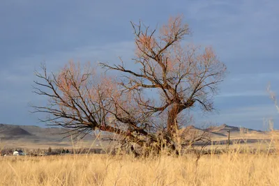 DSC_3083 (Large).JPG